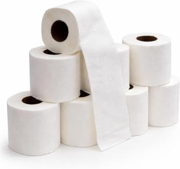 Preview: 72 Rollen Toilettenpapier hochweiss zellulose, 250 Blatt je Rolle